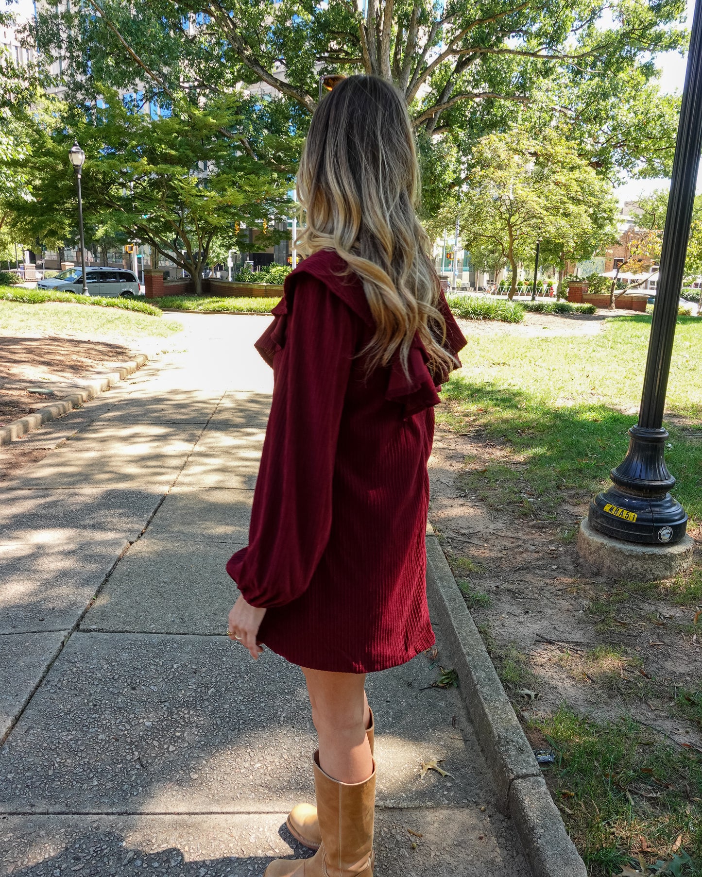 Fine Wine Dress
