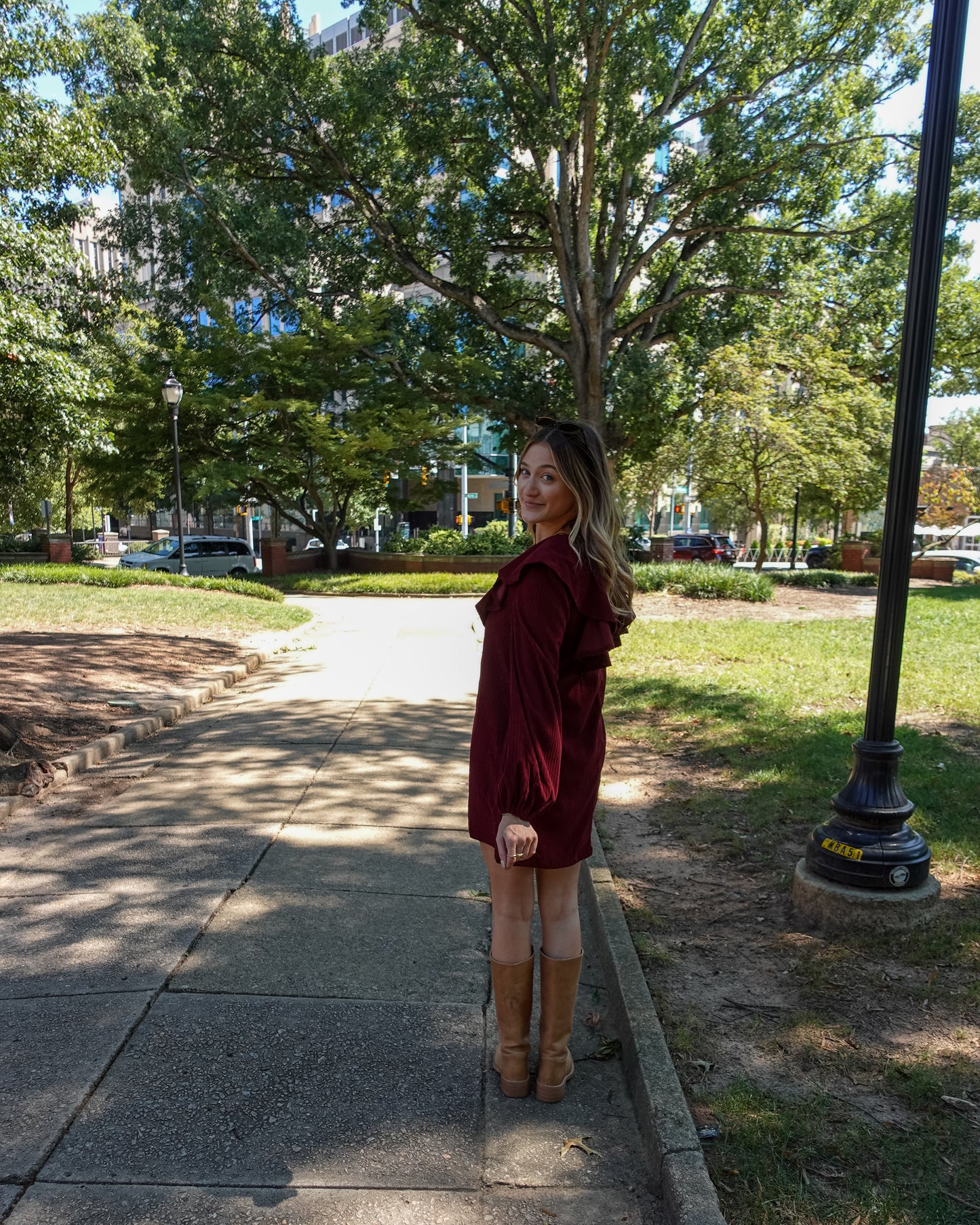 Fine Wine Dress