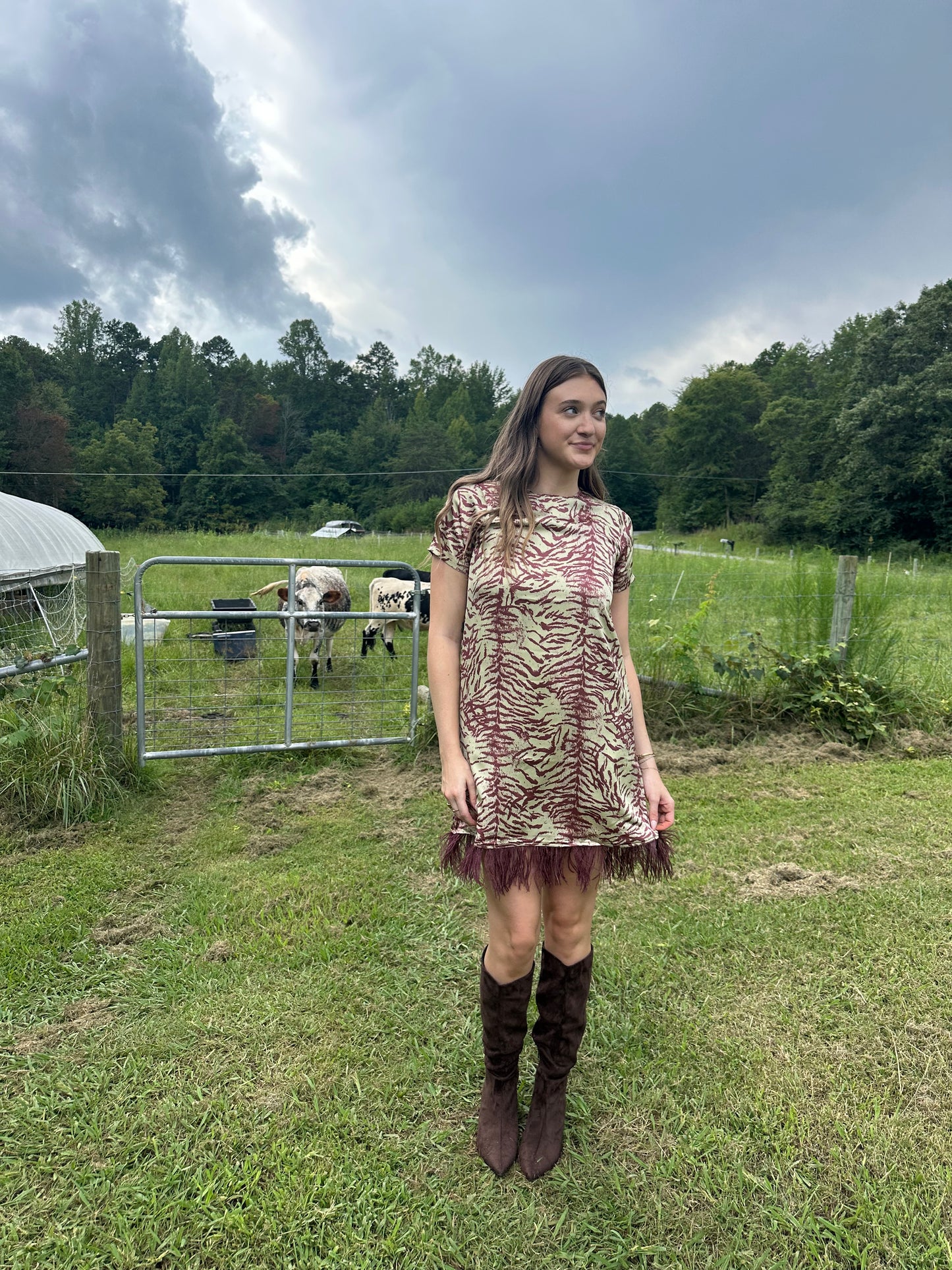 Something Wild Dress