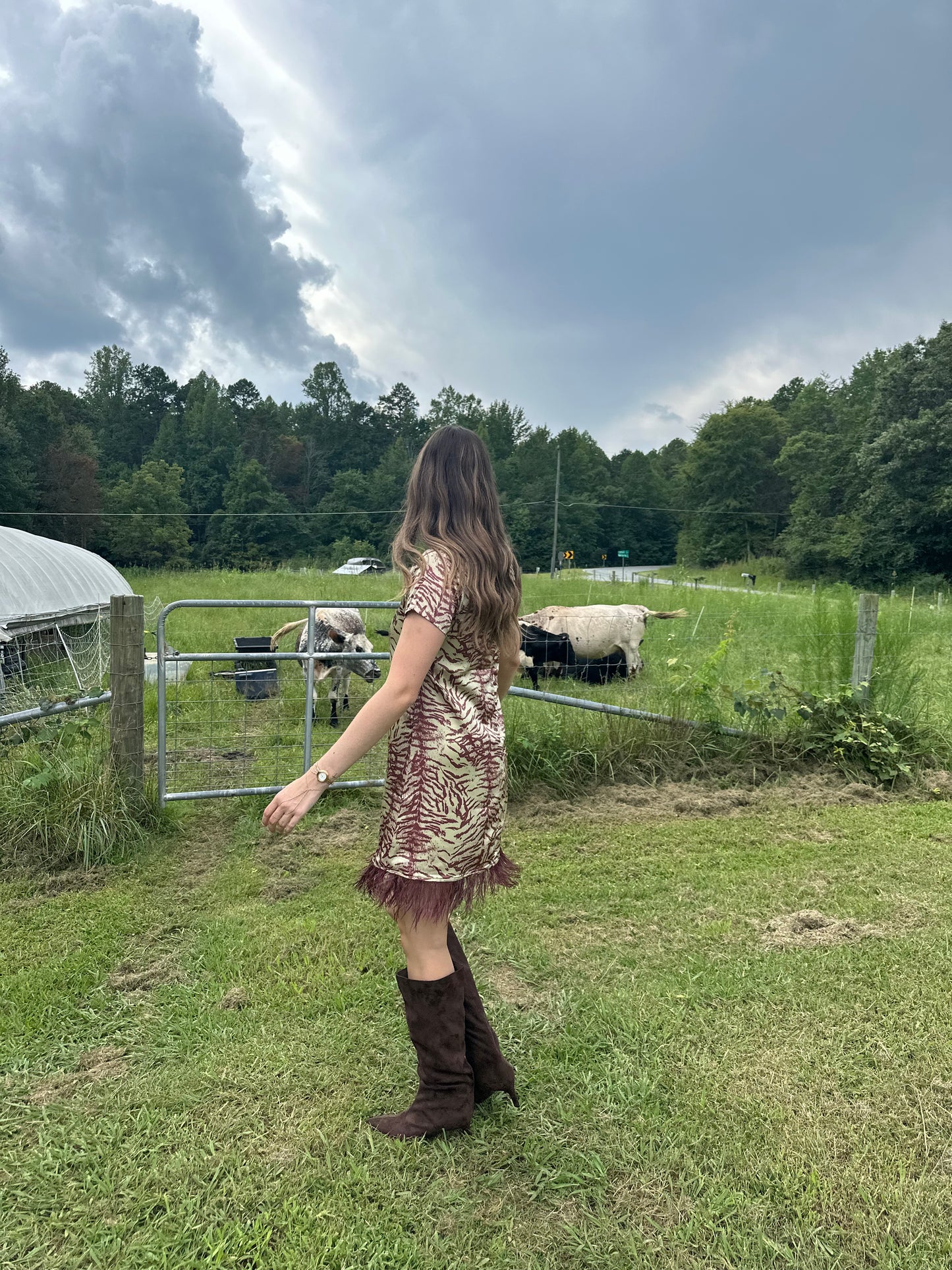 Something Wild Dress