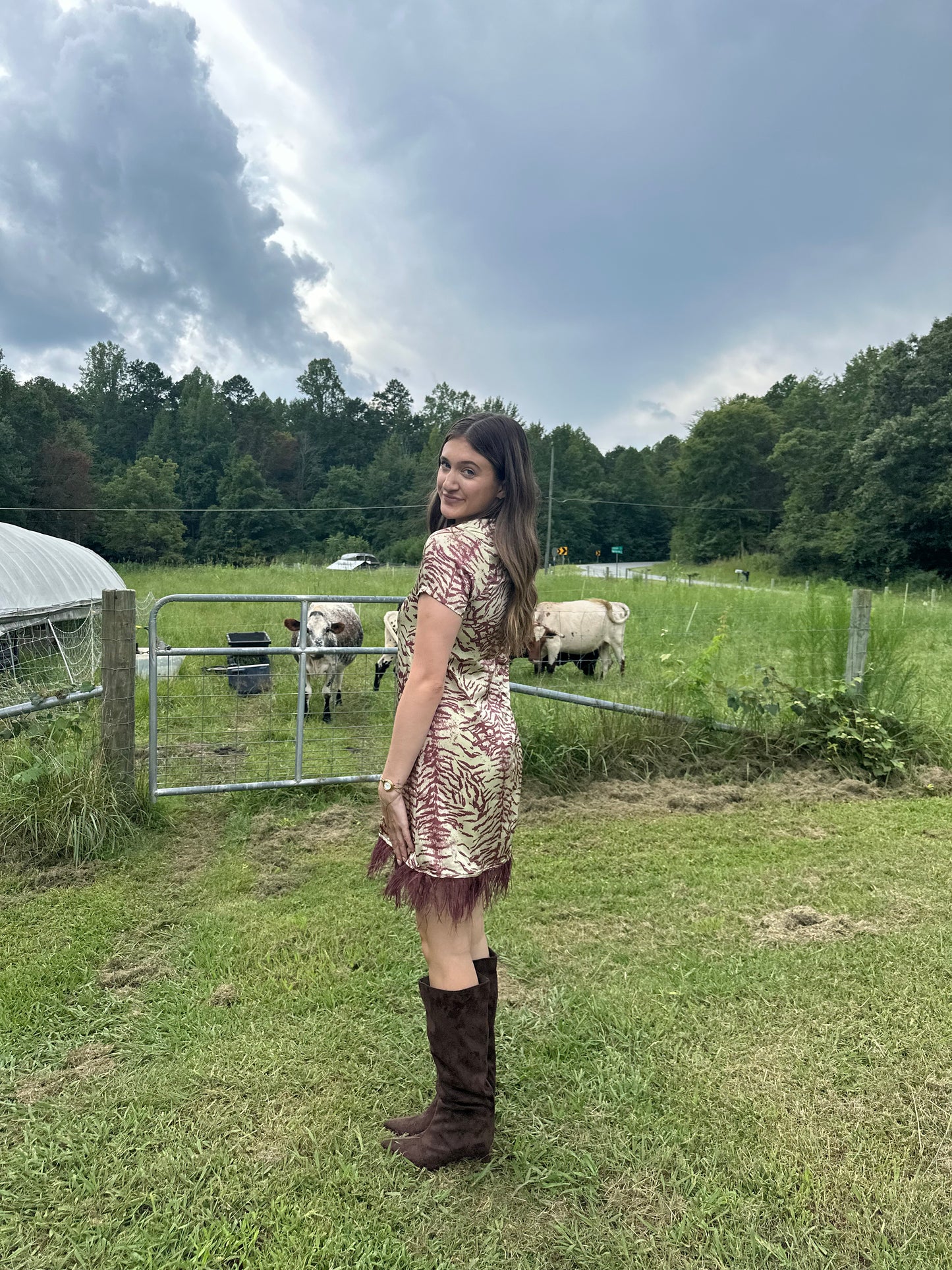Something Wild Dress